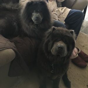 Meet your Posher, Sue